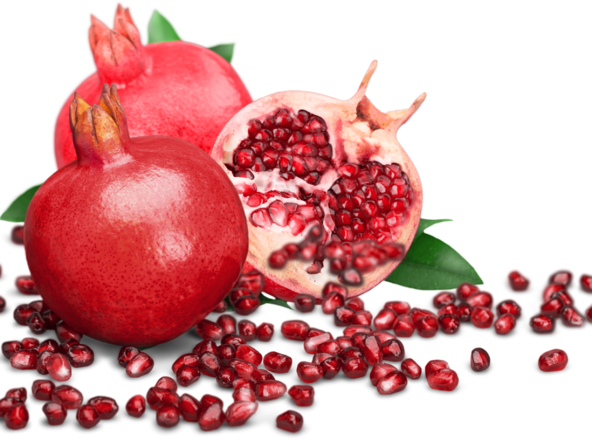 جشنواره شب یلدا 🎁 مارال هاست