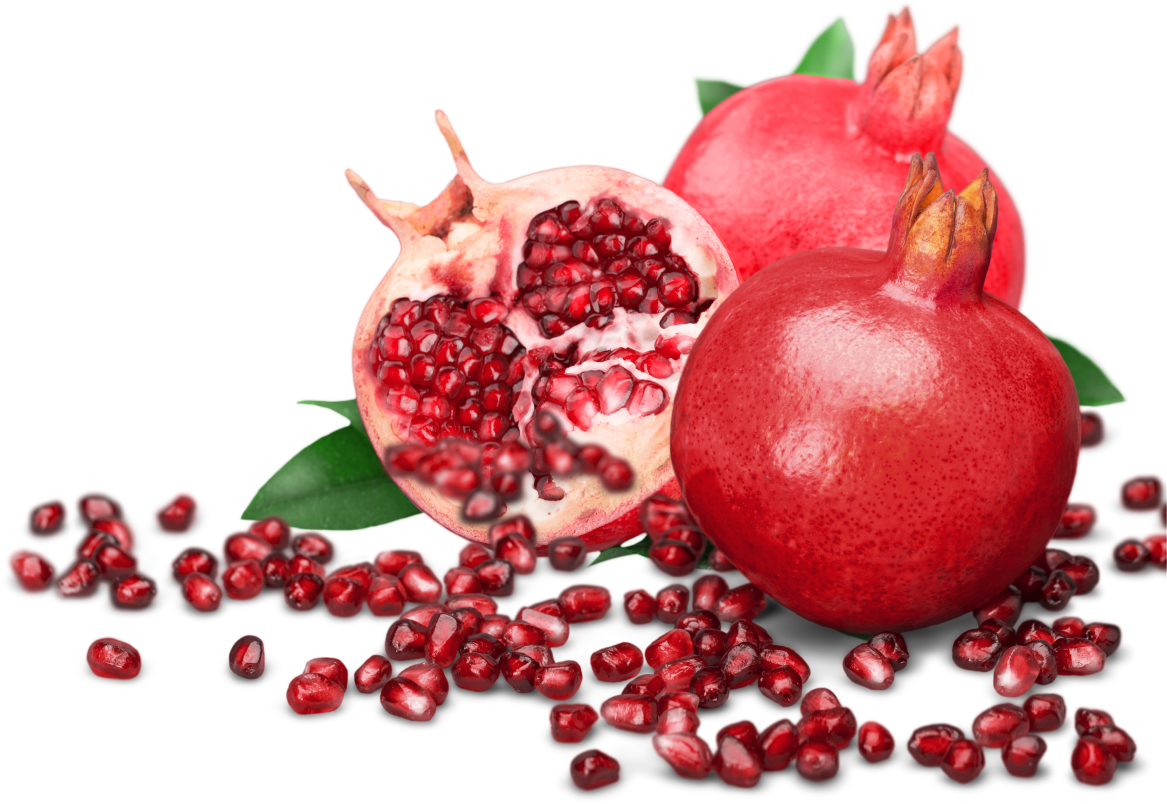 جشنواره شب یلدا 🎁 مارال هاست